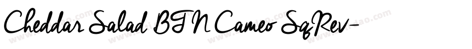 Cheddar Salad BTN Cameo SqRev字体转换